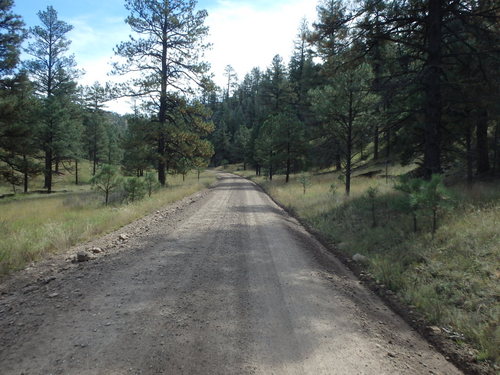 GDMBR: Riding north on NF-28, La Jolla Canyon, Gila NF, NM.